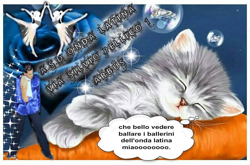 pizap.com10.299875872675329451390040578265